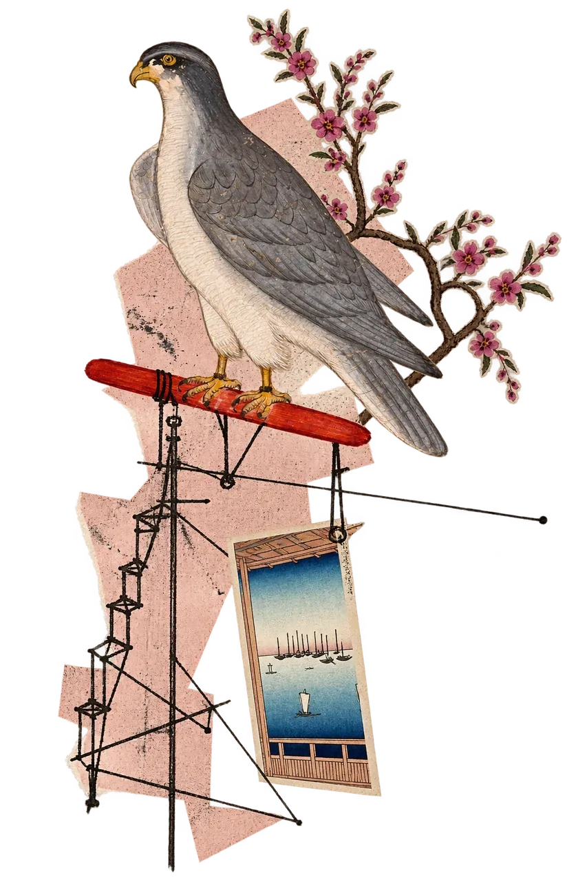 A grey falcon on a red perch, held up by a rigging of fine black lines, with a flowering twig and a small print of the sea.