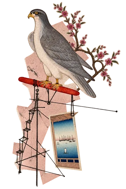 A grey falcon on a red perch, held up by a rigging of fine black lines, with a flowering twig and a small print of the sea.